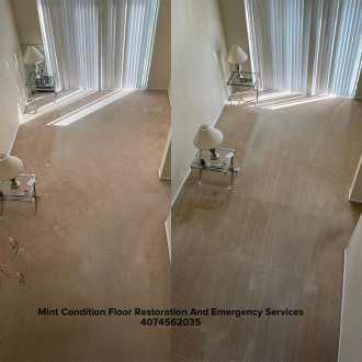 Mint-Condition-Floor-Restoration