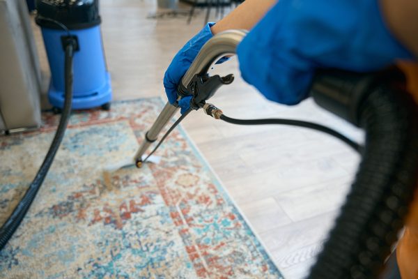 Carpet Cleaning Services