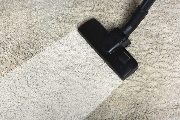 Carpet Steamer Services