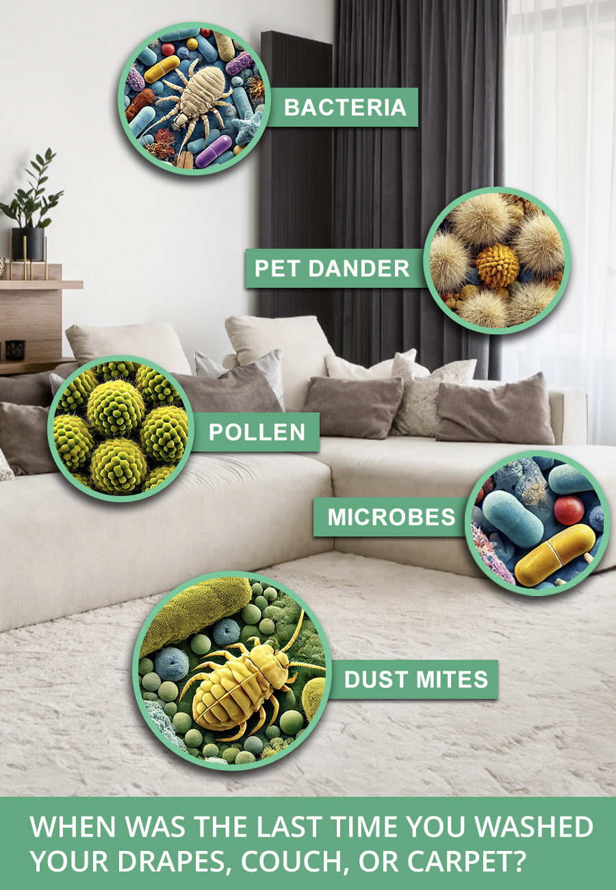 orlando Floor Upholstery Carpet Cleaning Mobile