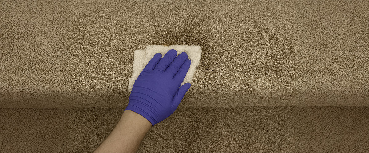 Blot-the-Area-Gently Blot the Area Gently