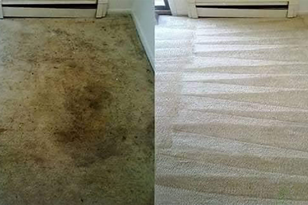 Carpet-Cleaning-Services-Dr-Phillips Carpet Cleaning Services Dr Phillips