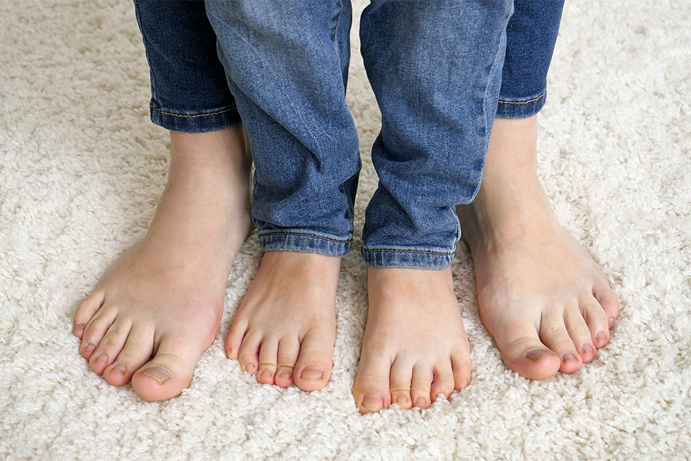 Carpet-Steamer-Services-Services-Dr-Phillips Carpet Steamer Services Services Dr Phillips