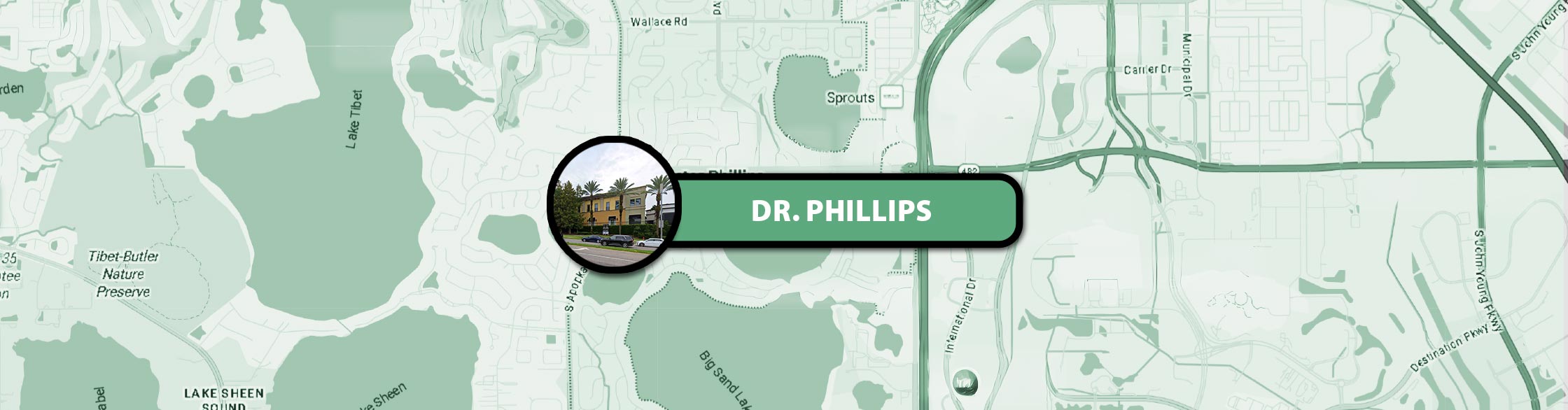 Dr Phillips floor carpet cleaning