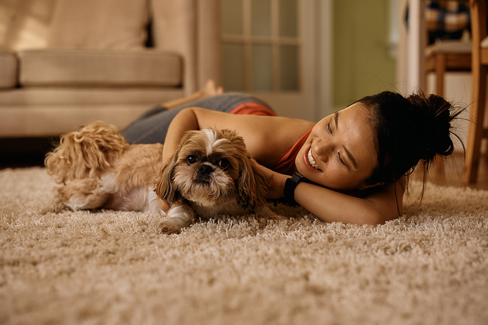 Horizon-West-Carpet-Cleaning Horizon West Carpet Cleaning