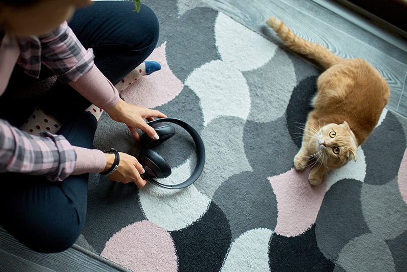 Best-Carpet-Cleaner-For-Pets-Bay-Hill Best Carpet Cleaner For Pets Bay Hill