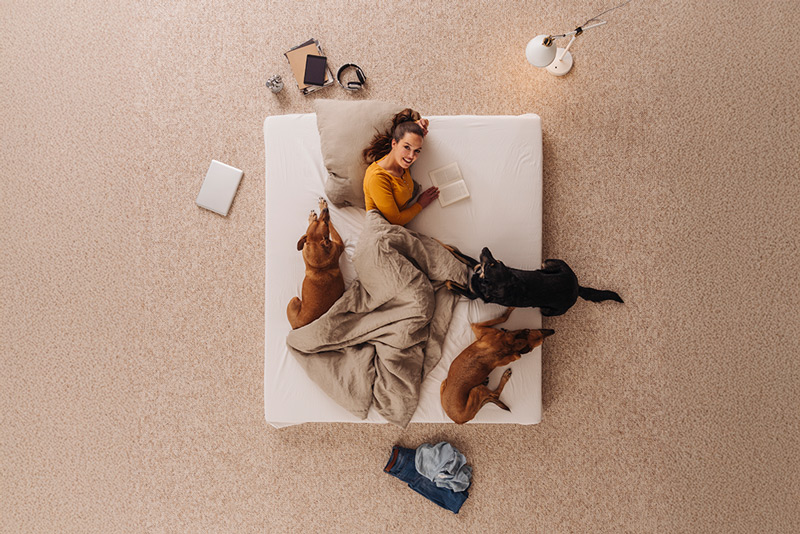 Carpet-Cleaning-Bay-Hill Carpet Cleaning Bay Hill