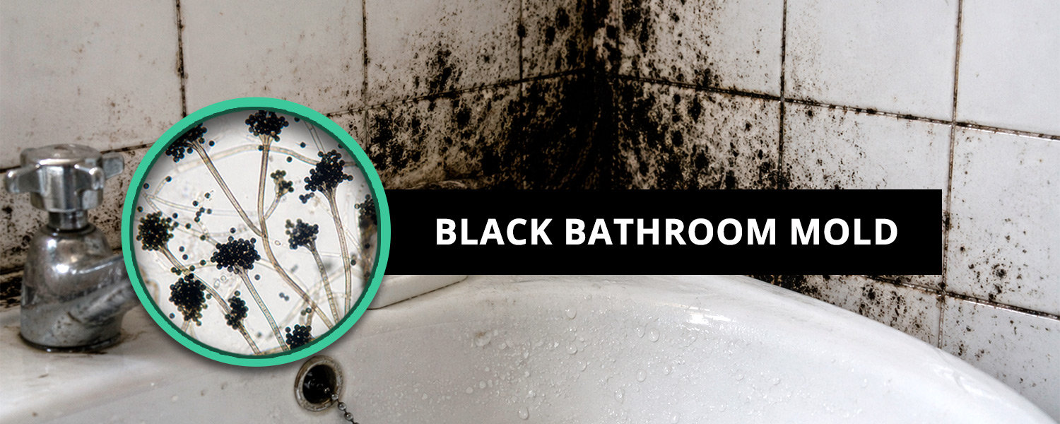 Black Bathroom Mold