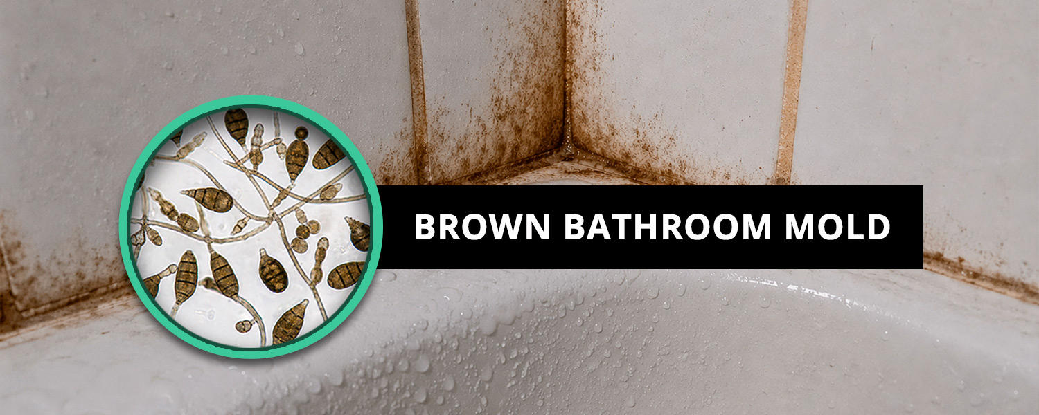 Brown Bathroom Mold