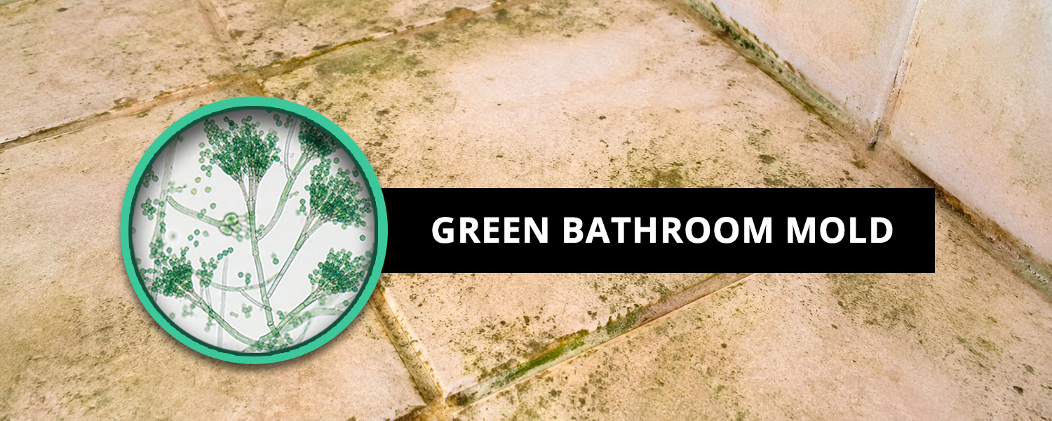 Green Bathroom Mold