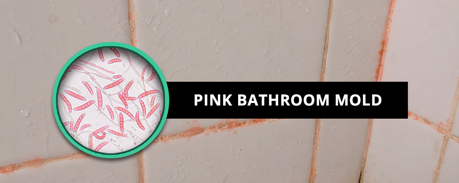 Pink Bathroom Mold