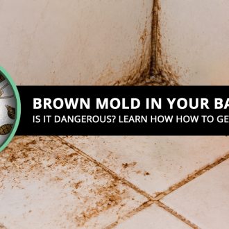 Brown Mold In Your Bathroom