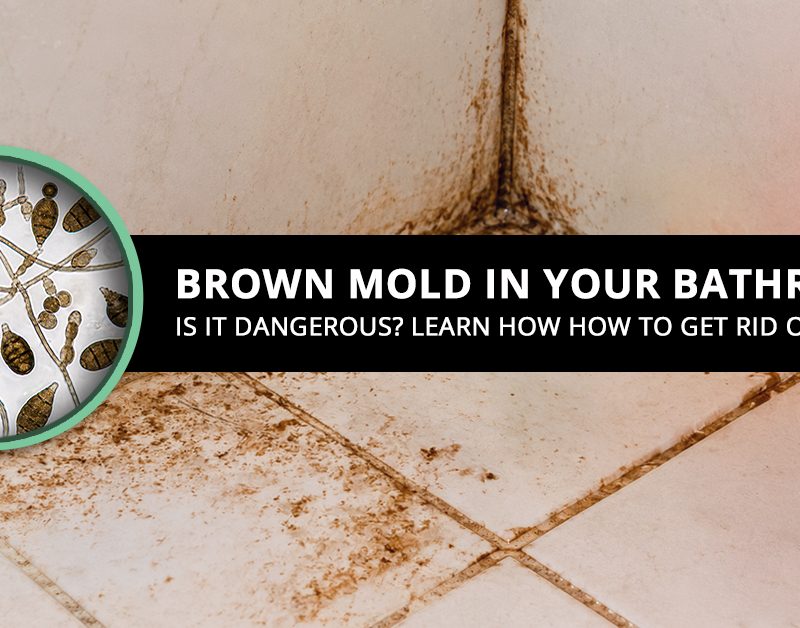 Brown Mold In Your Bathroom