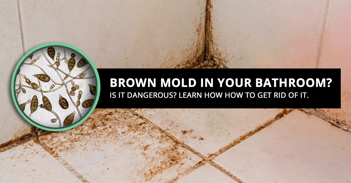 Brown Mold In Your Bathroom