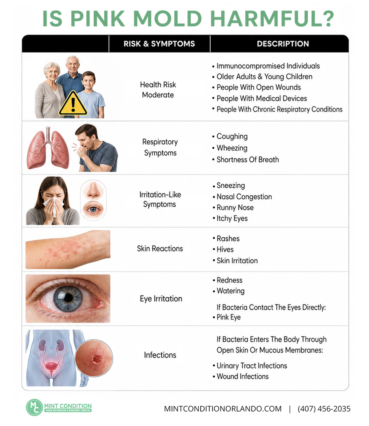 Is Pink Mold Harmful Infographic