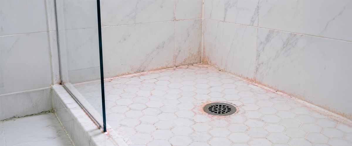 Pink Mold Shower
