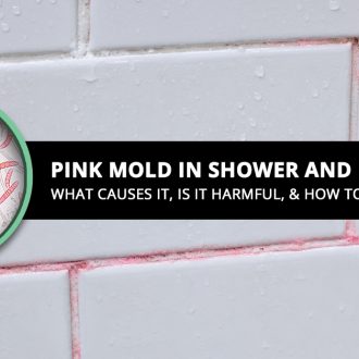 Pink Mold in Shower and Bathroom What Causes It How Does It Form Is It Harmful And How To Clean It