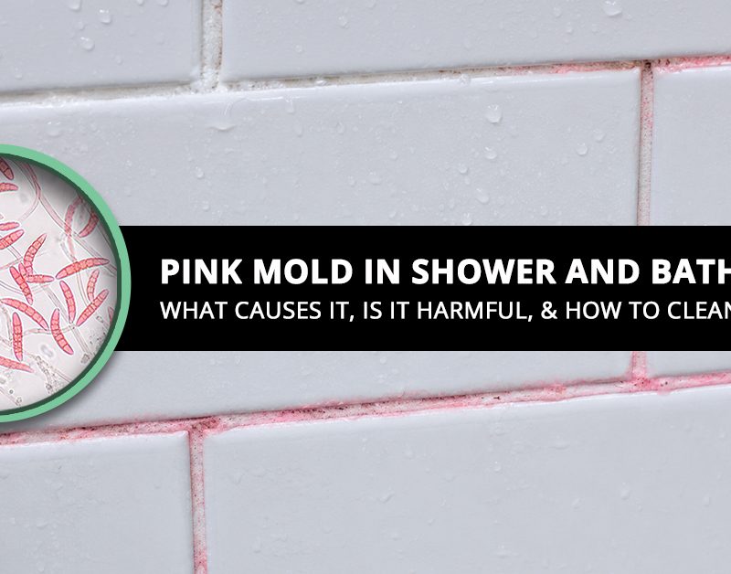 Pink Mold in Shower and Bathroom What Causes It How Does It Form Is It Harmful And How To Clean It