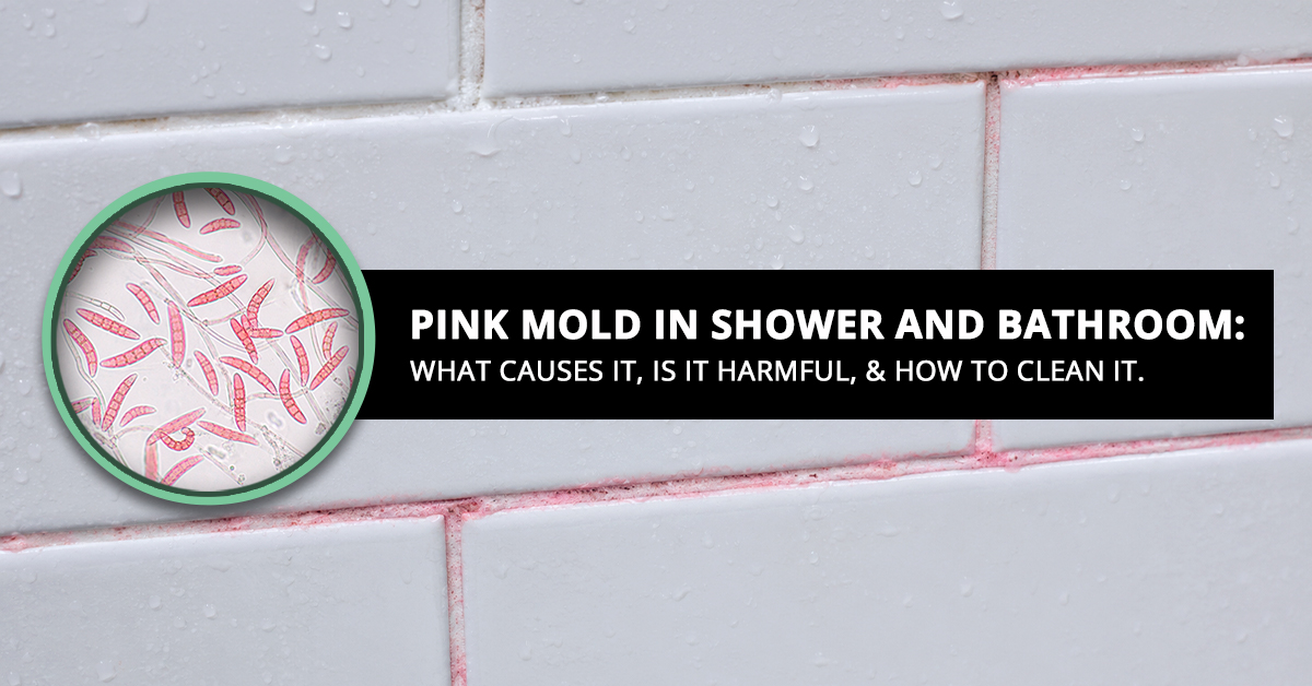 Pink Mold in Shower and Bathroom What Causes It How Does It Form Is It Harmful And How To Clean It