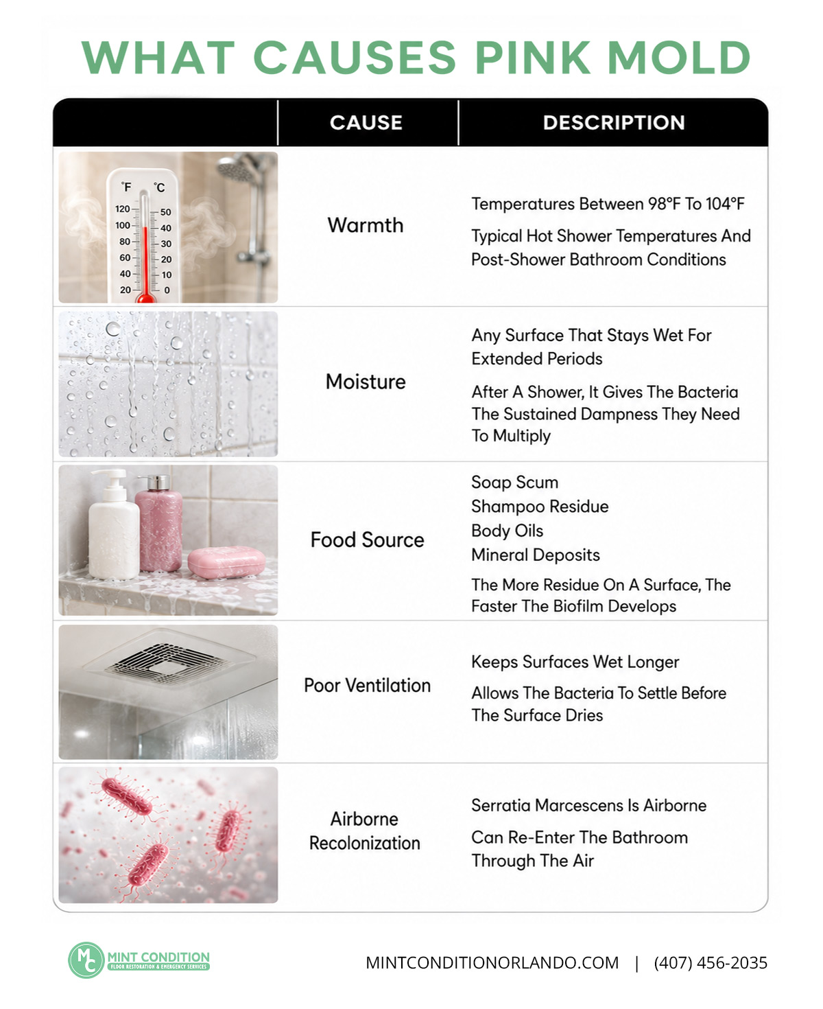 What Causes Pink Mold Infographic