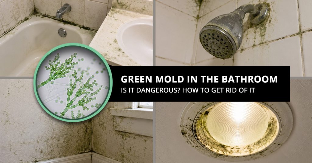 Green Mold in Bathroom