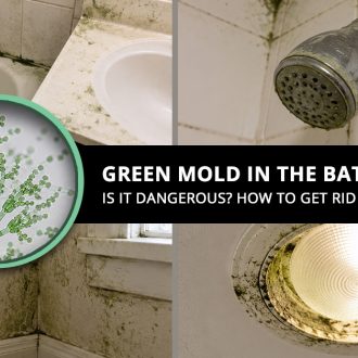 Green Mold in Bathroom
