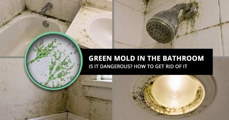 Green Mold in Bathroom: Is it Dangerous, Where It Grows, and How to Get Rid of It