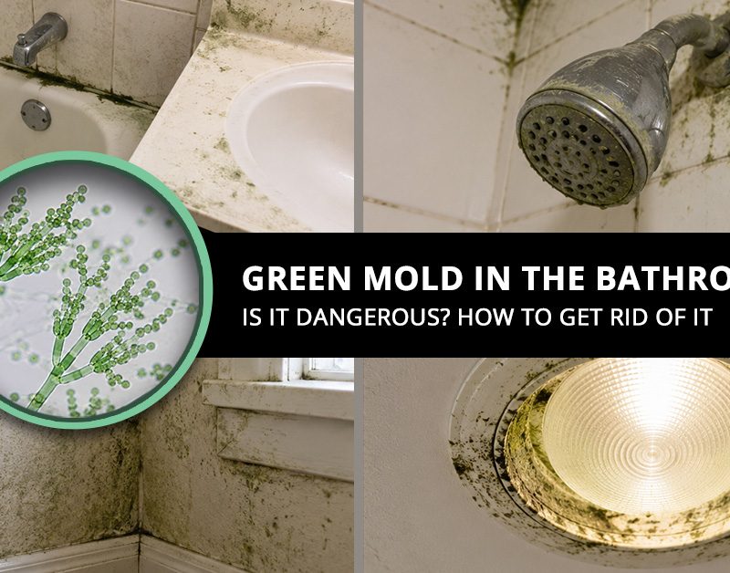 Green Mold in Bathroom