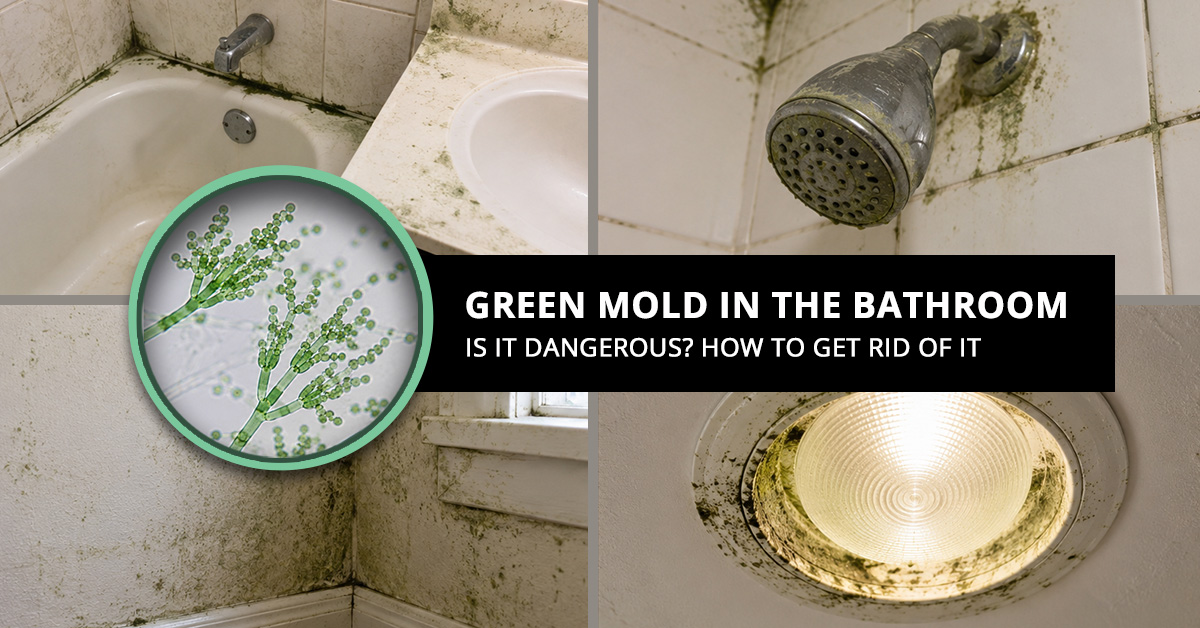 Green Mold in Bathroom
