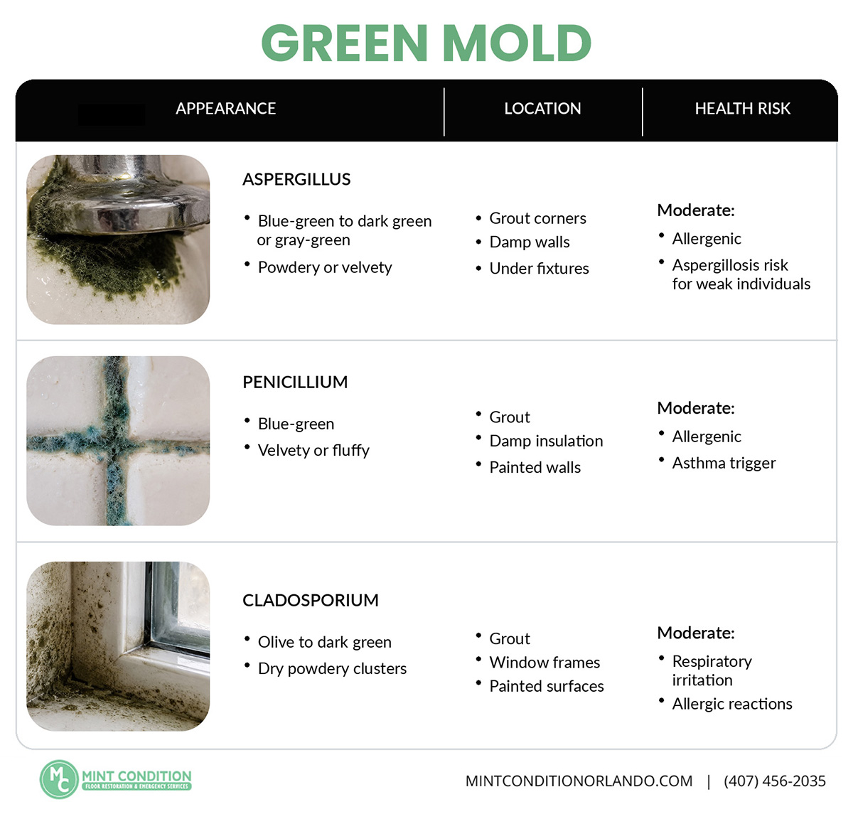 Green Mold