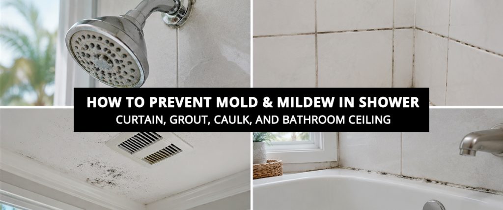 How to Prevent Mold and Mildew in Shower Curtain Grout Caulk and Bathroom Ceiling