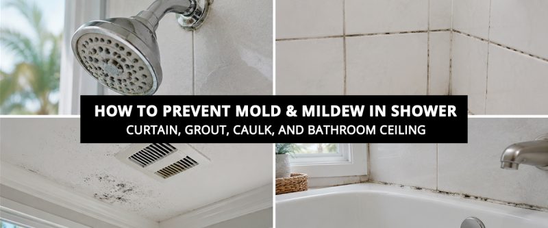 How to Prevent Mold and Mildew in Shower: Curtain, Grout, Caulk, and Bathroom Ceiling