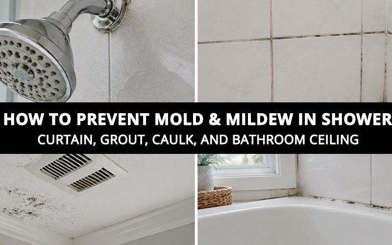 How to Prevent Mold and Mildew in Shower Curtain Grout Caulk and Bathroom Ceiling