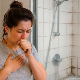 Mildew Health Risks And Health Effects
