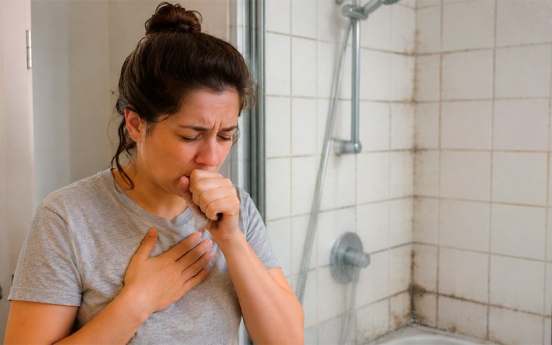 Mildew Health Risks And Health Effects