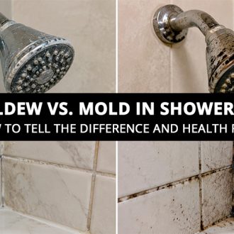 Mildew vs Mold in Shower How to Tell the Difference and Health Risks