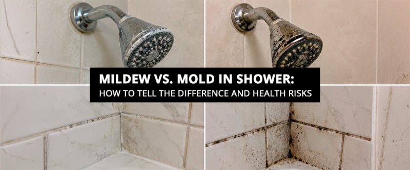 Mildew vs. Mold in Shower: How to Tell the Difference and Health Risks