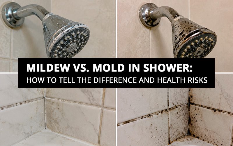 Mildew vs Mold in Shower How to Tell the Difference and Health Risks