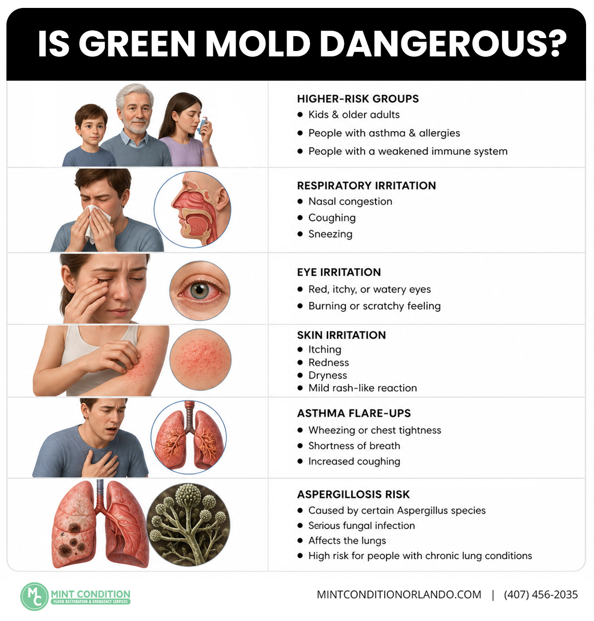 is green mold dangerous