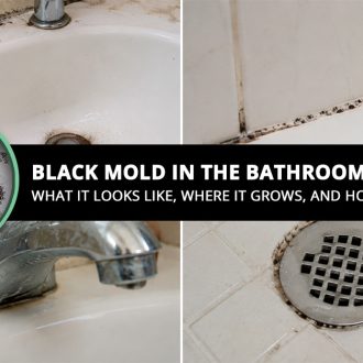 Black Mold in the Bathroom What It Looks Like Where It Grows and How to Remove It