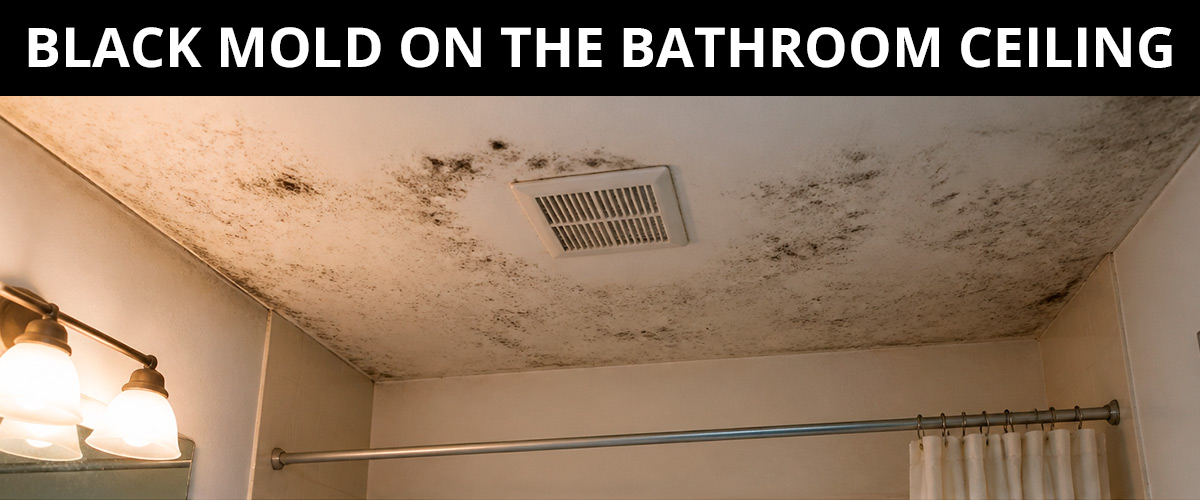Black Mold on the Bathroom Ceiling