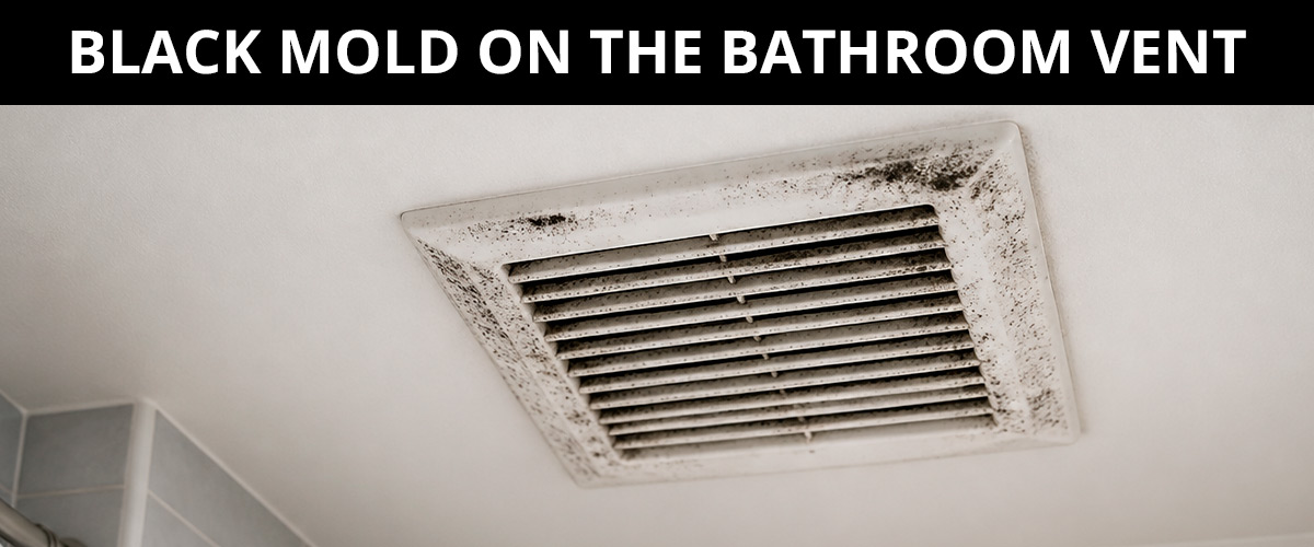 Black Mold on the Bathroom Vent