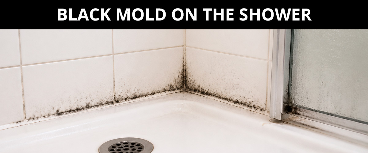 Black Mold on the Shower