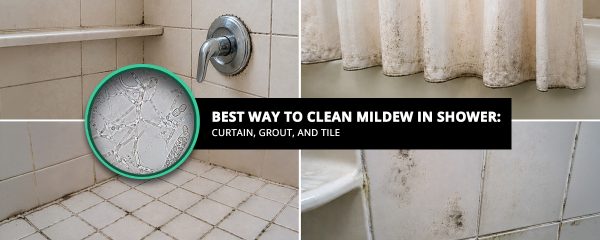Best Way To Clean Mildew in Shower Curtain Grout And Tile