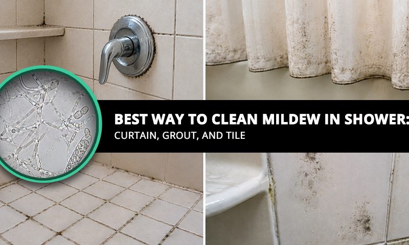Best Way To Clean Mildew in Shower Curtain Grout And Tile
