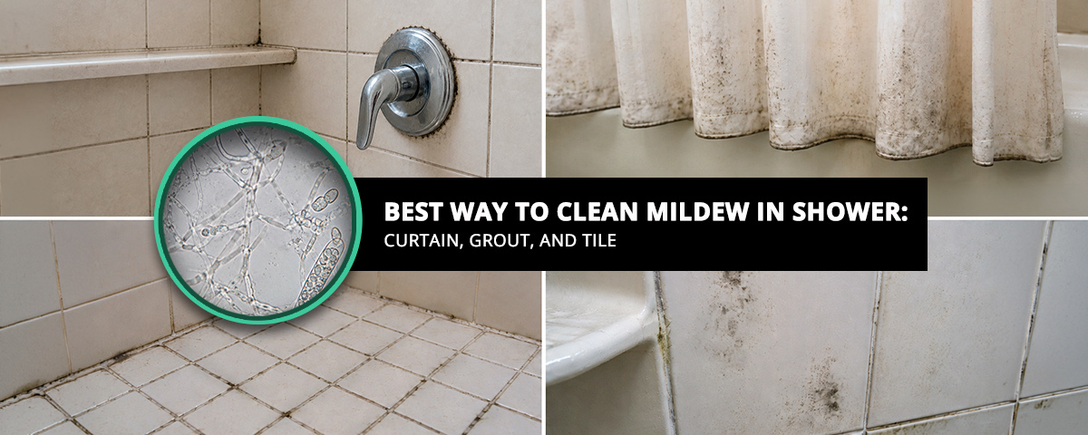 Best Way To Clean Mildew in Shower Curtain Grout And Tile