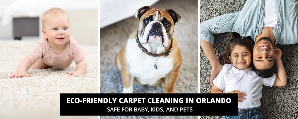 Eco Friendly Carpet Cleaning in Orlando Non Toxic Plant Based and Safe for Baby Kids and Pets