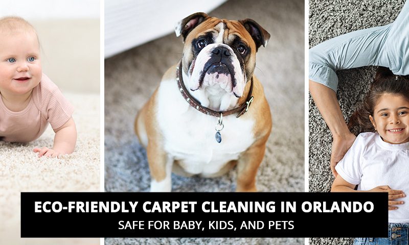 Eco Friendly Carpet Cleaning in Orlando Non Toxic Plant Based and Safe for Baby Kids and Pets